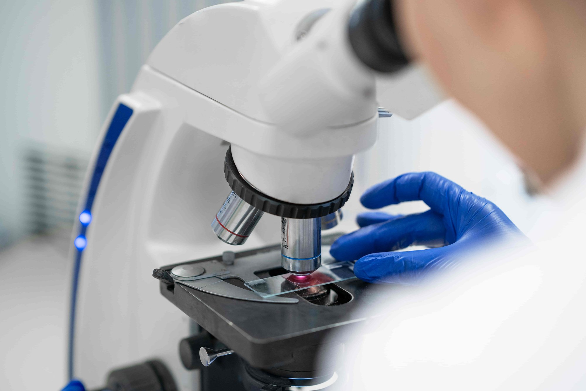 Laboratory testing of a food supplement batch before release