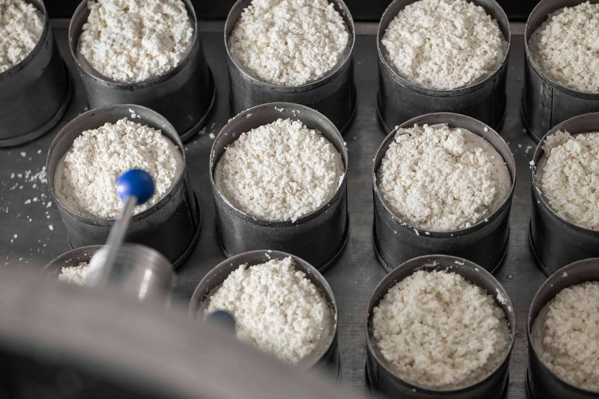 Sports nutrition powder samples prepared for laboratory testing