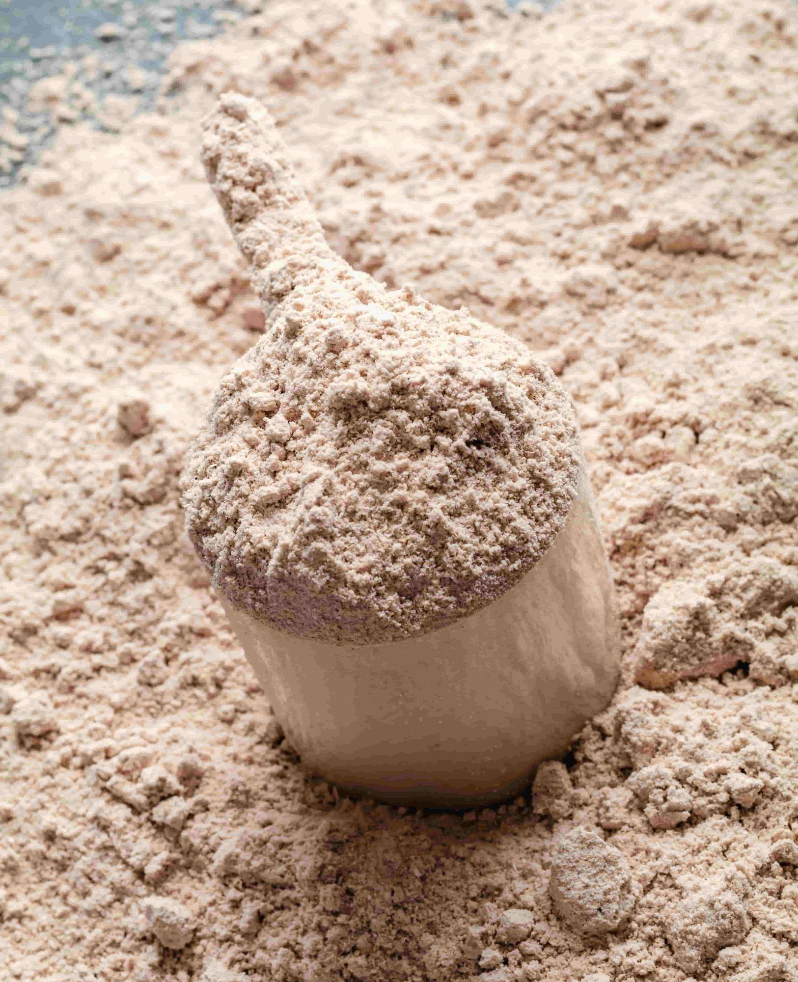 Whey protein powder manufacturing Whey protein powder with dosing scoop, private label manufacturing